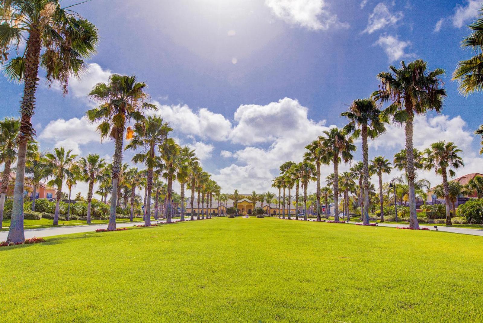 Enchanted Palms Main image 1